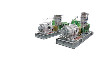 Liquid ring vacuum pumps and compressors according to API681
